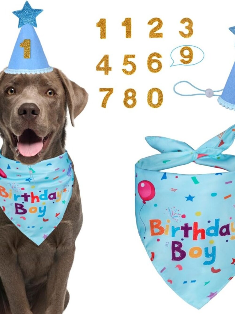 Dog Birthday Party Supplies,Dog Birthday Bandana,Dog Birthday Hat